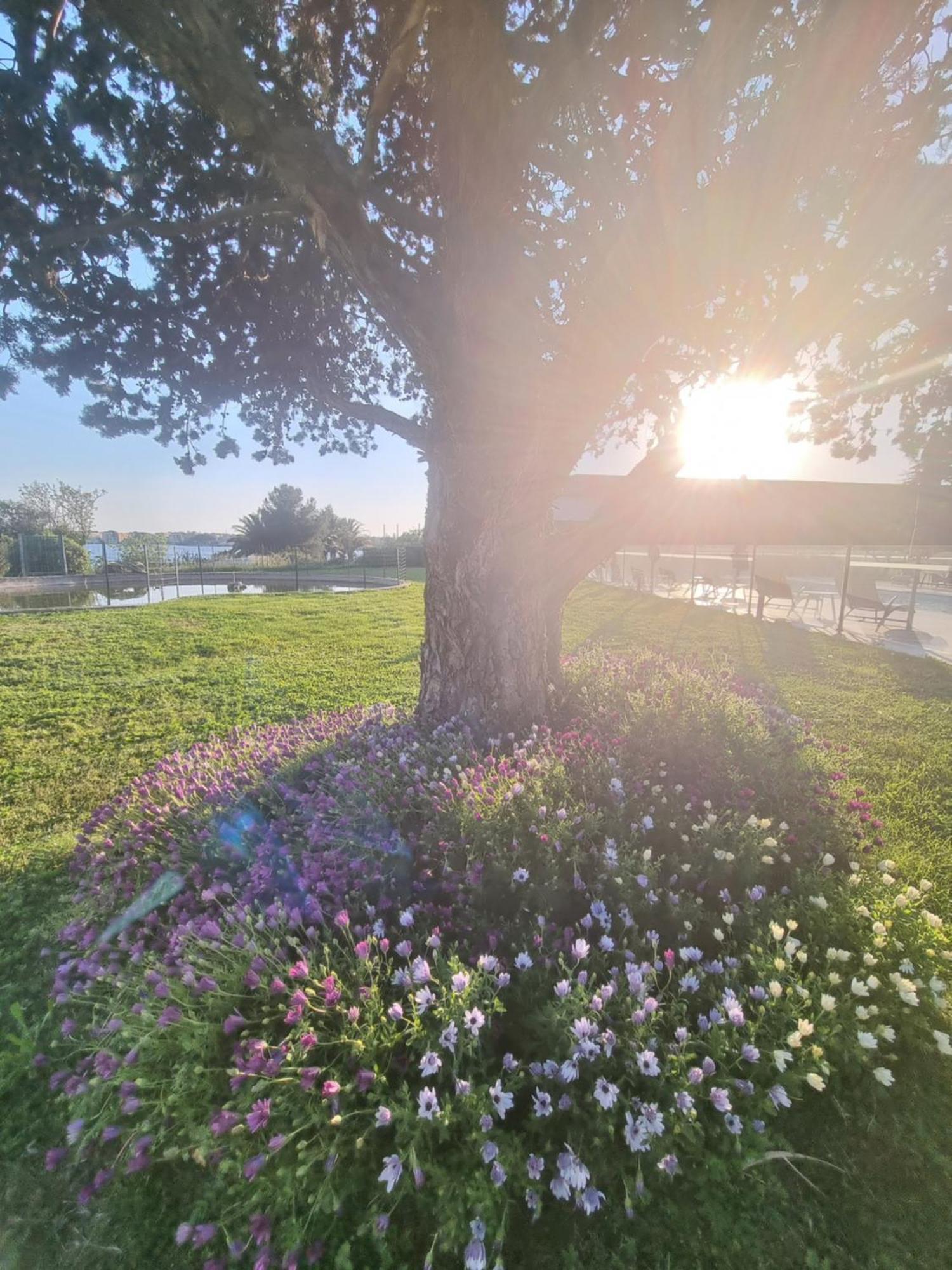 Ariane Hotel Fos Sur Mer Fos-sur-Mer Dış mekan fotoğraf