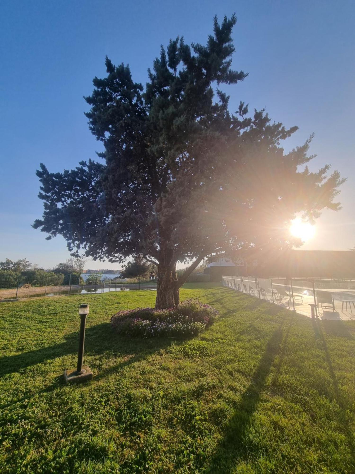Ariane Hotel Fos Sur Mer Fos-sur-Mer Dış mekan fotoğraf